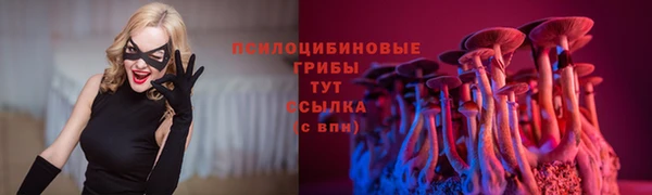 прущая мука Покачи