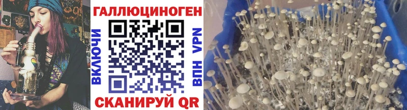 Псилоцибиновые грибы ЛСД как найти закладки Ясногорск